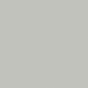 Zenit Edgebanding - Pale Gray Z50
